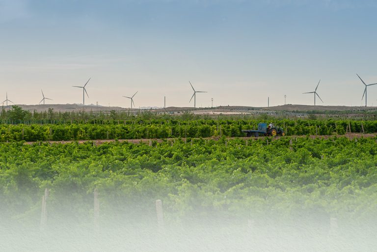 一图读懂丨张裕2024年度的“绿色答卷”